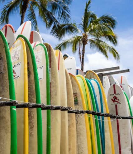 Surfboards stacked side by side by the beach in Hawaii