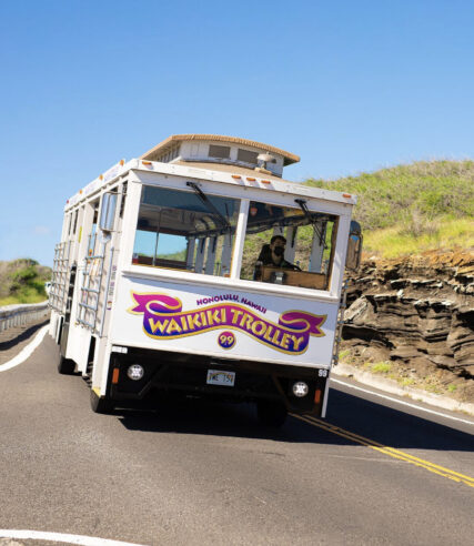 A man driving a white color Waikiki themed bus on the Mountain road.