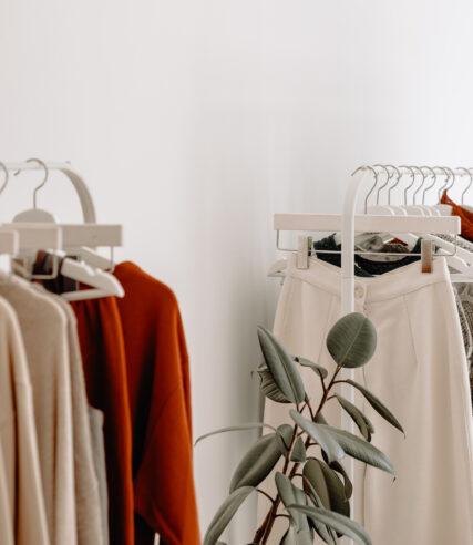 A hanger showcases a diverse array of clothing varieties.